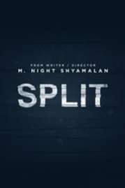 Split 2017