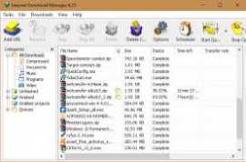 Internet Download Manager IDM 6